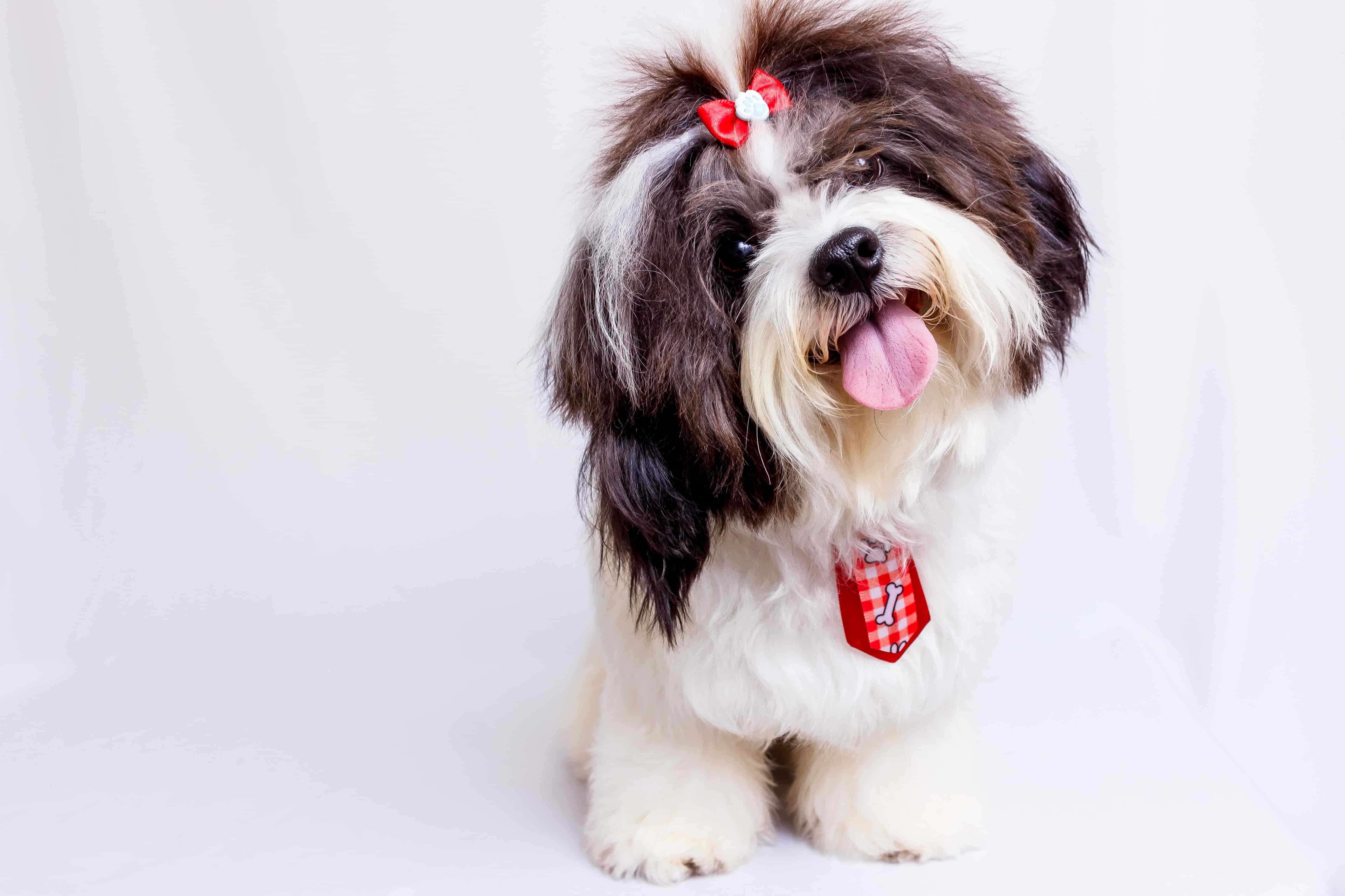 Deluxe Groom