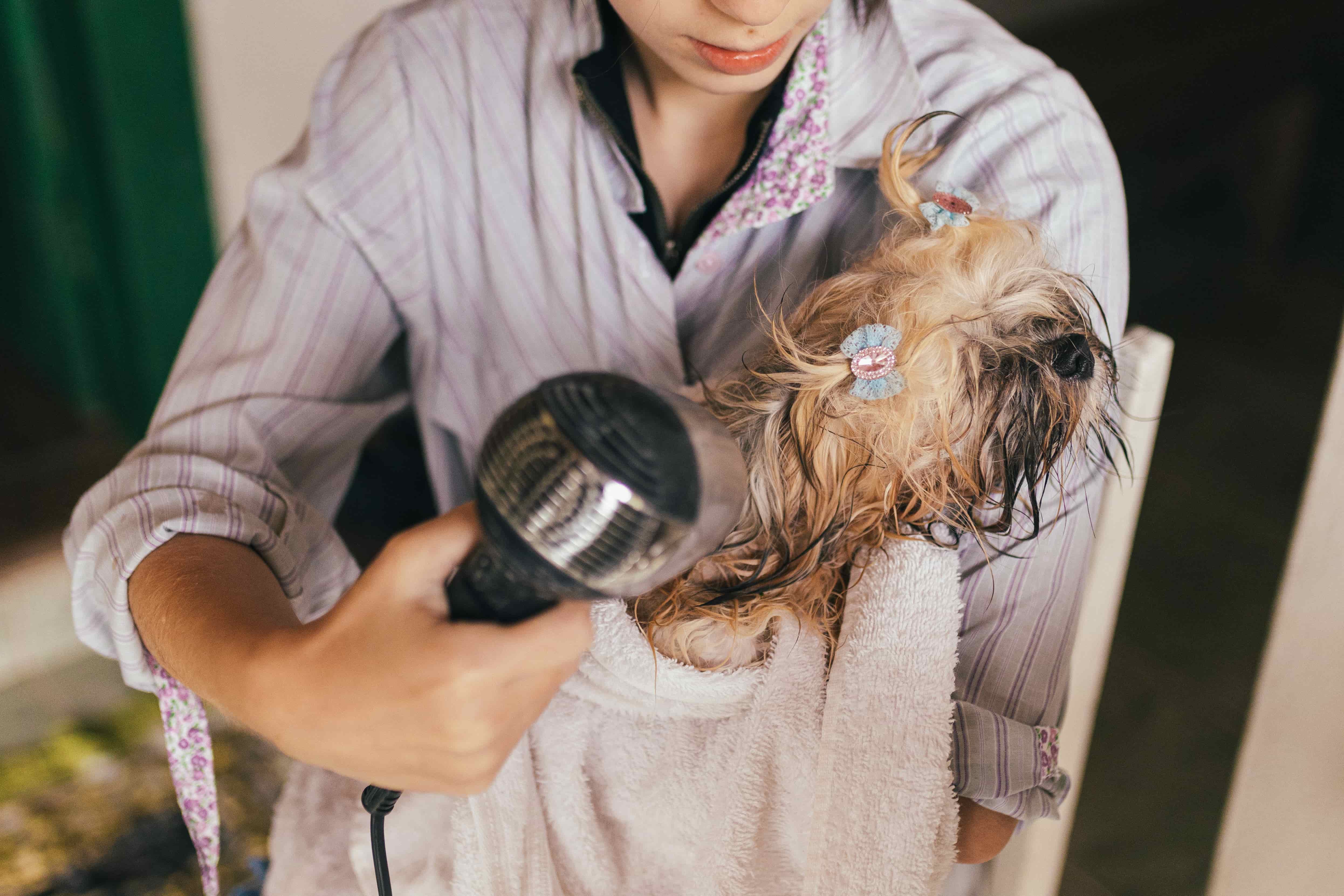 Basic Groom