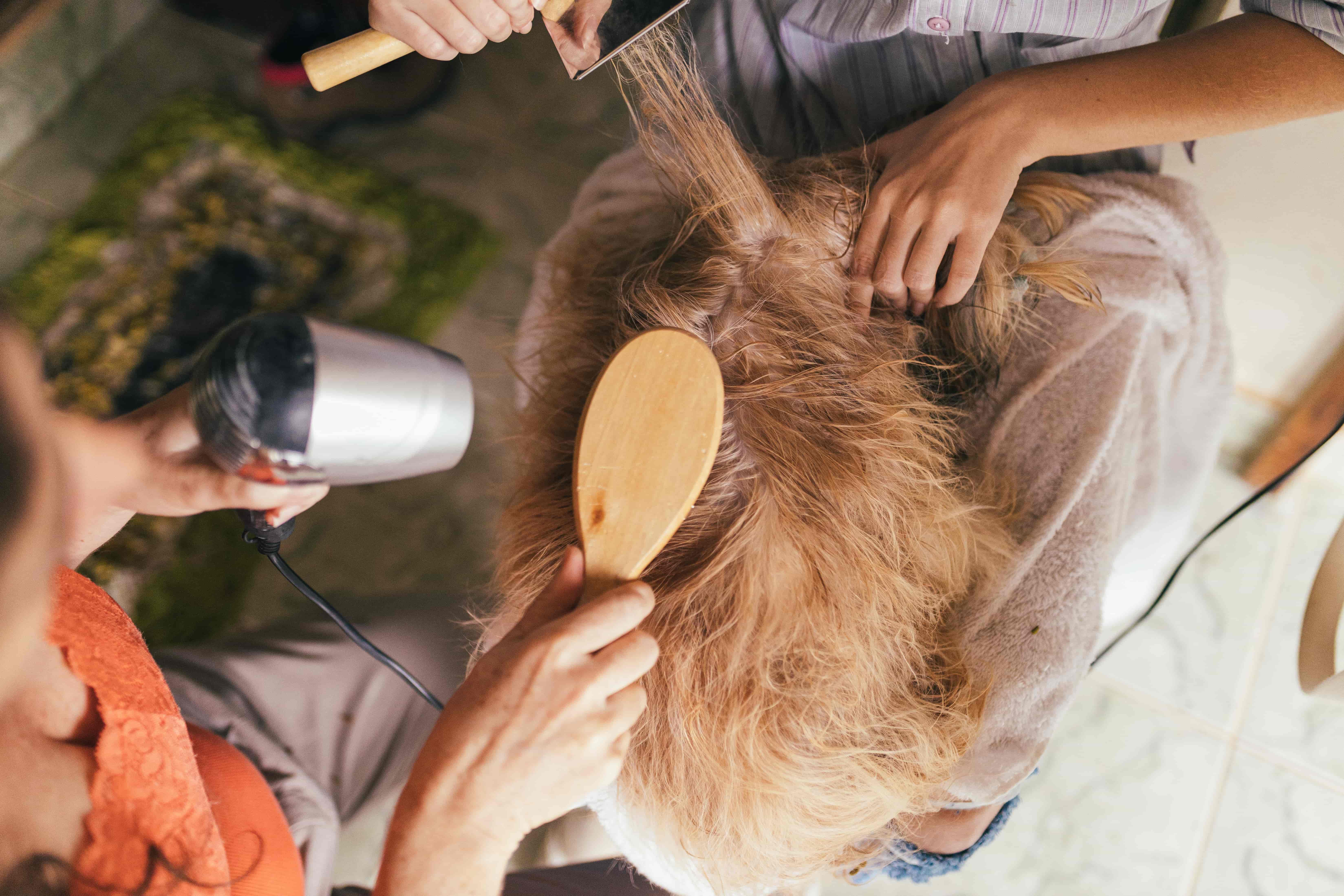 Wash & Brush